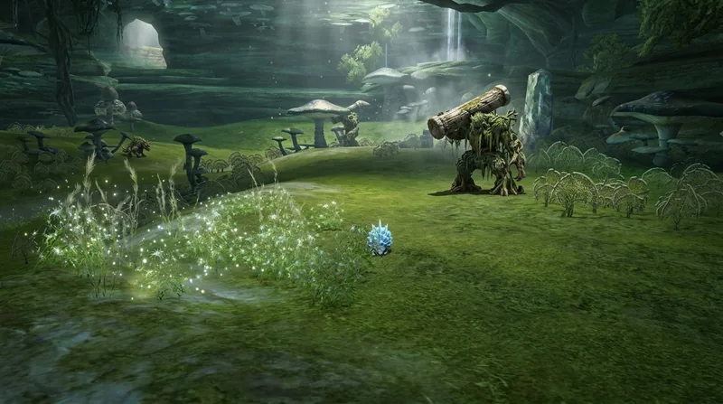 Talking Island Wilds